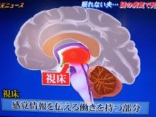 日々のニュースとジャニーズ