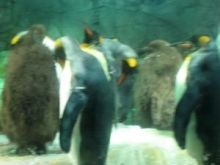 日々のニュースとジャニーズ