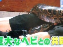 日々のニュースとジャニーズ